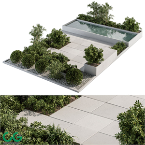 Backyard and Landscape